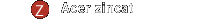 Acer zincat